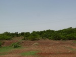 19014P1000858.JPG