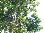 2012-10-17_20-32-20_396.JPG