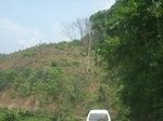 2012-09-08_20-00-39_RIMG0050.JPG
