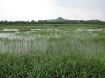2012-09-07_10-16-22_CIMG6687.JPG