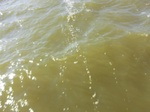 2012-09-21_14-25-50_CIMG0034.JPG