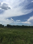 2018-05-27_15-17-38_E53505F4-ADD4-49E1-9644-D51E3C00E34A.jpg