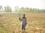 11281gt091-cropland-2.jpg