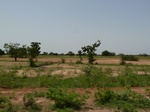 19000P1000844.JPG