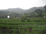 13568IMG_3820.JPG