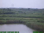 801R0015371_tag.jpg