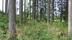 2016-07-27_09-26-03_DSCF1845.JPG