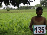 68670135c-irrigated-supplemental-minor-groundwater-sugarcane-turmeric-banana-plantation-grapes.jpg