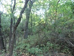 2012-09-21_16-12-23_CIMG3000.JPG