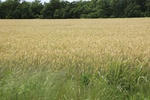 2022-05-26_14-16-12_186B670A-3355-4C45-8CB3-5A23DE48BBD0.jpeg