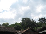 16409IMG_5194.JPG
