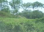 2012-09-08_18-23-55_RIMG0135.JPG