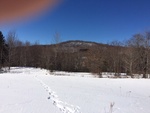 2017-02-24_14-46-20_Feb17-120-VT.jpg