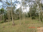 2012-09-26_20-49-56_CIMG1047.JPG
