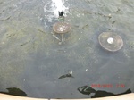 2012-10-02_09-57-47_CIMG6006.JPG