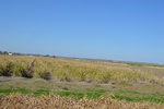 2021-02-02_15-30-27_DSC_0042.JPG