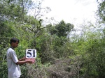 832451-forest-remanant-degraded-iucn-b.jpg