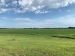 2020-08-07_10-06-32_2020-8-7-9-59-22.jpg