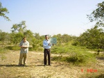 6533gt045-shrubland-2.jpg