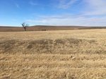 2018-02-05_10-14-38_B6E1173E-7859-4674-BF98-6CBCDF9026EC.jpg