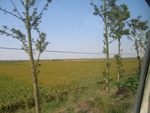 439020071010gps 033.jpg