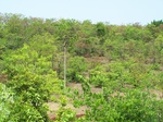 1724520042008(31).JPG