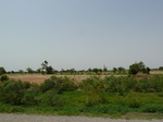 18996P1000840.JPG