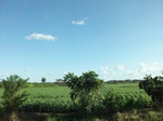 5787100_1385.JPG