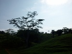 5618100_1044.JPG