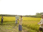 6744gt181-cropland-1.jpg