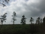2017-09-12_11-05-43_BC59C201-E868-4281-9C7E-1B6F0C67E798.jpg