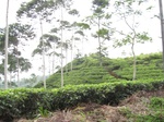 13848IMG_4122.JPG