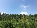 2017-09-12_13-50-14_B48B0996-D017-4224-9E72-C06643D29EC4.jpg