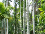 545911052008(24).JPG