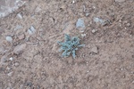 2017-05-07_18-33-42_2017-03-14 18.49.56.jpg
