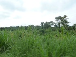 20428P1020285.JPG