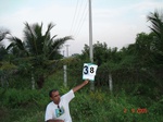 6227038c-irrigated-supplemental-groundwater-rice-groundnut-plantation.jpg