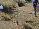 10965gt-174-wetland-wet-stream-bed-02.jpg