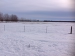 2017-02-27_16-42-33_Feb17-133-ND.jpg