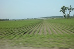 2022-05-26_14-05-45_F287A788-7E09-426B-8623-0E7B4B3B5443.jpeg