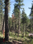 2012-09-15_23-07-43_NM-OT-35-2.jpg