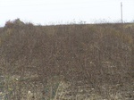474002052008(6).JPG