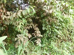 19883P1010733.JPG