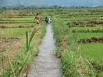 2012-09-07_10-19-58_CIMG6714.JPG