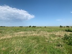 2020-08-07_10-25-42_2020-8-7-10-25-26.jpg