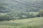 2022-06-11_16-12-59_EEB3D294-0F2A-4F17-8878-CF6F445DAFDE.jpeg