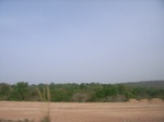 3806RIMG0110.JPG