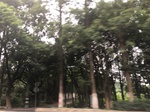 2017-09-10_20-40-21_B5A12139-3E31-4603-8072-05E607B0D8DE.jpg