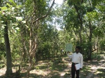 7748gt014a-forests-Y-sec.jpg