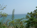 1713819042008(53).JPG